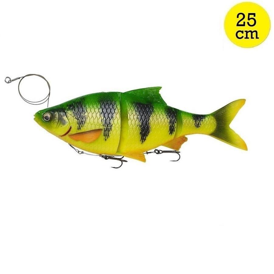 Savage Gear 4D Line Thru Roach 25cm | Perch MS