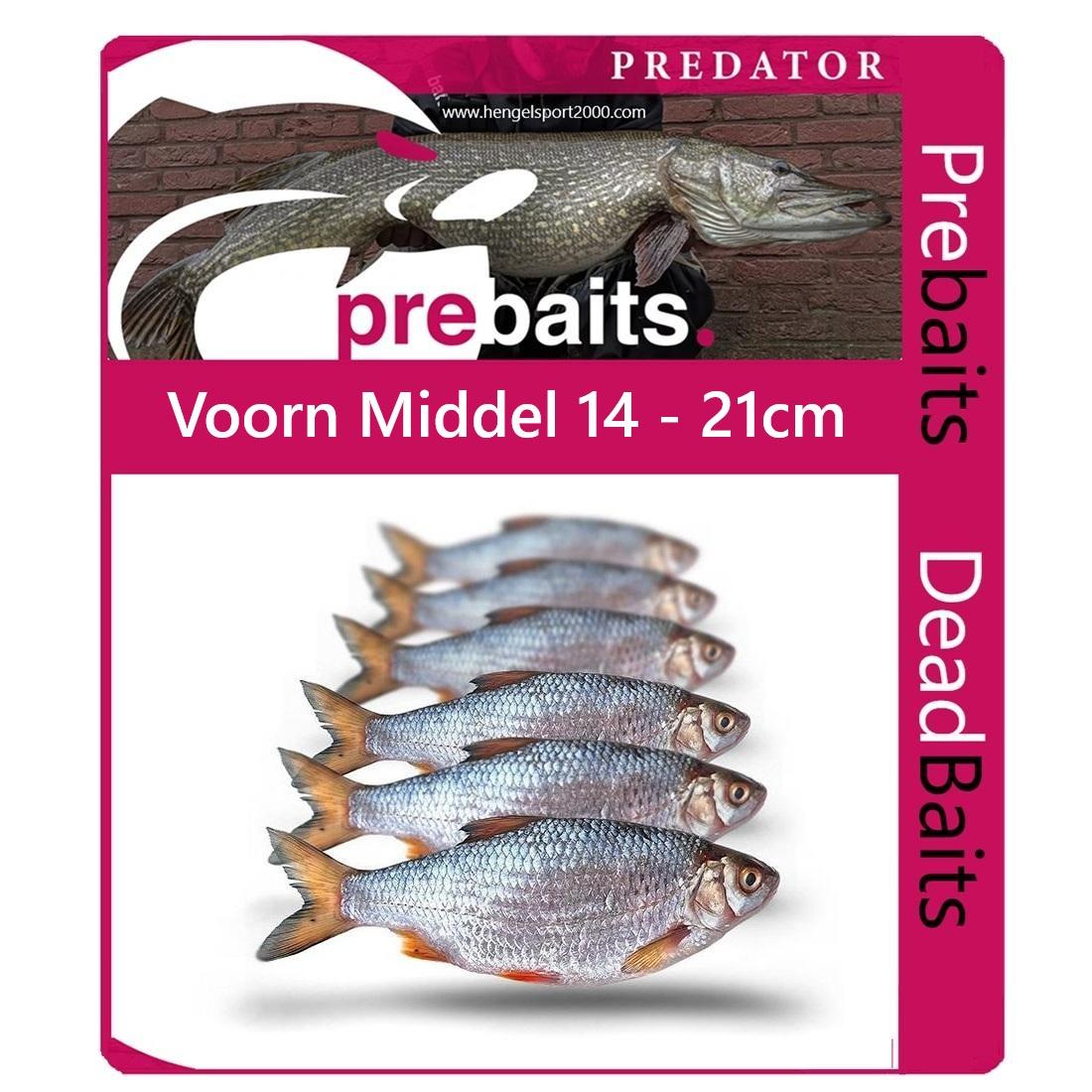 Prebaits Voorn Middel 14 - 21cm