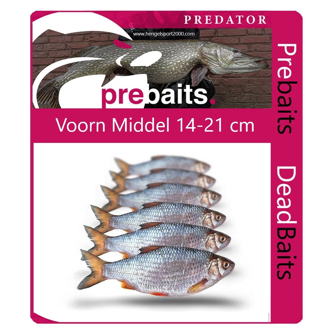 Prebaits Voorn Middel 14 - 21cm