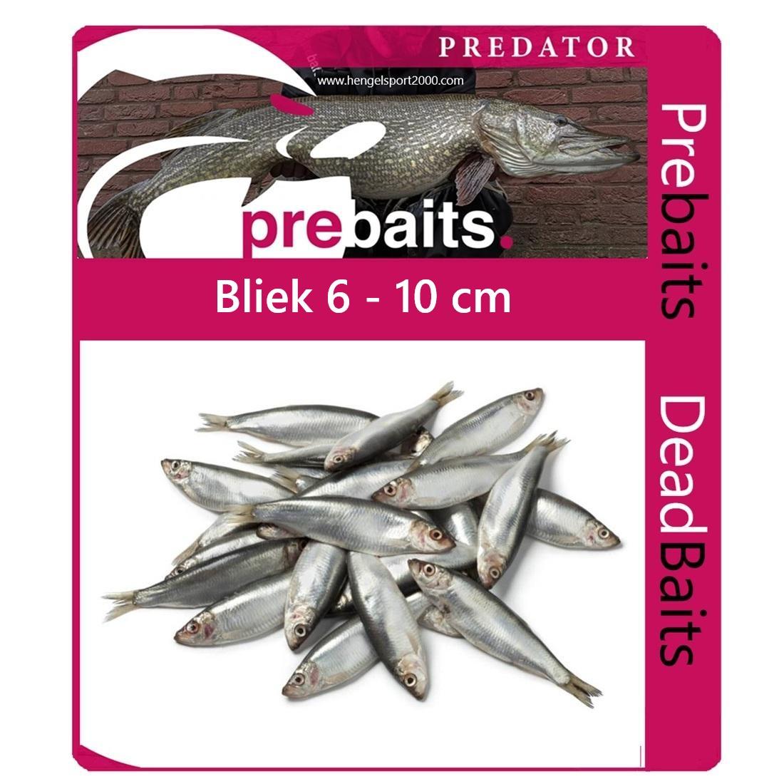 Prebaits Bliek 6 - 10cm (50 stuks)