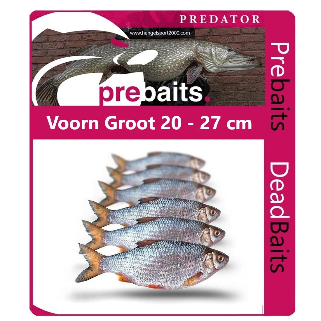 Prebaits Voorn Groot 20 - 27cm